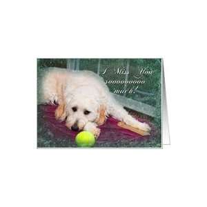  I Miss You  dog   Pet   Katis Collection Card Health 