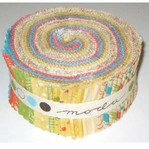   Object Of Desire 2 1/2 Jelly Roll By The Each Arts, Crafts & Sewing