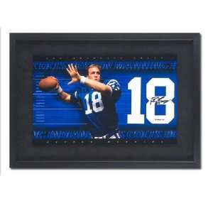  Peyton Manning Autographed Indianapolis Colts Mini Jersey 