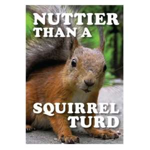   New Novelty Nuttier than a squirrel turd Metal Sign   Great Gift Item