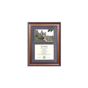  Princeton Tigers Suede Mat Diploma Frame with Lithograph 