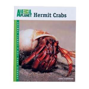  Animal Planet   Hermit Crabs