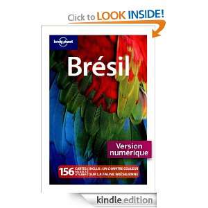 Brésil (GUIDE DE VOYAGE) (French Edition) Collectif, Regis St Louis 