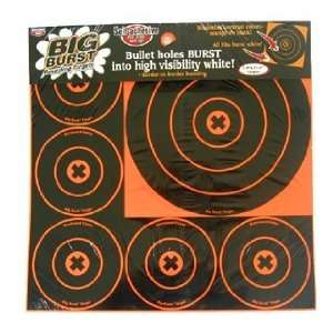  Birchwood Casey BB8 BIG BRST 8IN/4IN   18PK: Sports 