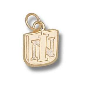 Northern Iowa Panthers Solid 10K Gold UNI 3/8 Pendant