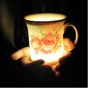    A Romantic and Colorful Light Bone China Cup Rose: Electronics