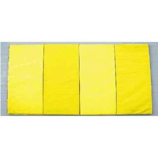  Basketball Padding Wall Padding   3 X 6 X 1.5 Velcro 