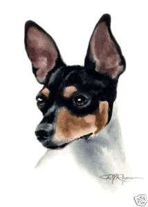 RAT TERRIER Watercolor Dog Art ACEO Print Signed DJR  