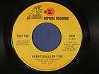 TINY TIM novelty rock 45 GREAT BALLS OF FIRE(good version) ~REPRISE 