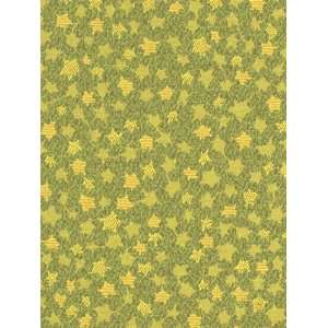  Starstruck Meadow by Robert Allen Contract Fabric