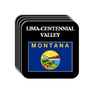  US State Flag   LIMA CENTENNIAL VALLEY, Montana (MT) Set 