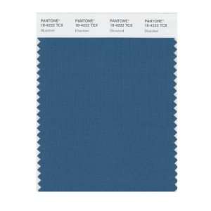   PANTONE SMART 18 4222X Color Swatch Card, Bluesteel: Home Improvement