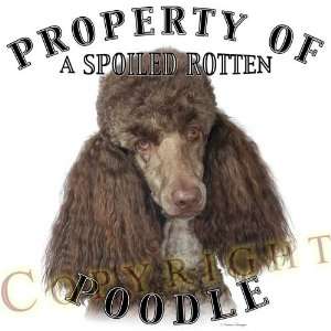  Poodle Brown dog breed THROW PILLOW 16 x 16: Home 