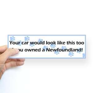  Your Car Newfoundland Funny Bumper Sticker by  