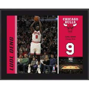  Luol Deng Sublimated 10x13 Plaque  Details Chicago Bulls 