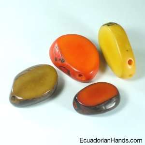  2 Cuts Seed Tagua Bead Premium Arts, Crafts & Sewing