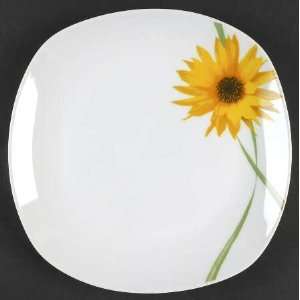 Tabletops Unlimited Dolce Dinner Plate, Fine China Dinnerware:  
