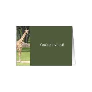     Birthday Party   Tall Giraffe Peeking Over Card Toys & Games