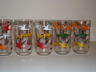   Bird Tumblers Drinking Glasses Swallowtail? Birds Multi Colored  