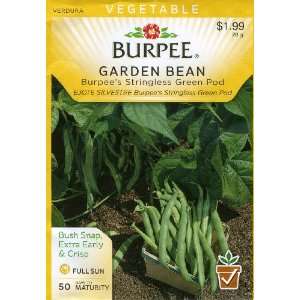  Burpee 56473 Bean, Bush Snap Burpees Stringless Green Pod 