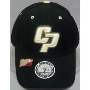  Cal Poly Mustangs Dynasty Fitted Hat: Sports & Outdoors