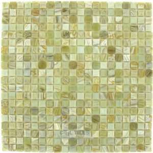  Calliope 5/8 glass tile in honeysuckle 12 3/4 x 12 3/4 