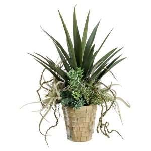  32hx24wx24l Yucca/Succ in Pot Green: Home & Kitchen