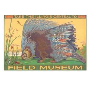   Field Museum with Porcupine Giclee Poster Print, 32x24: Home & Kitchen