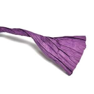  Purple Paper Twist   200 yard Spool Paper Ribbon: Arts 