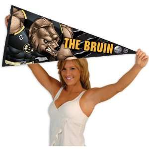  Wincraft The Guardian Project Boston Bruins 17X40 Pennant 