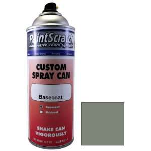 12.5 Oz. Spray Can of Titanium Grey Metallic Touch Up Paint for 2005 