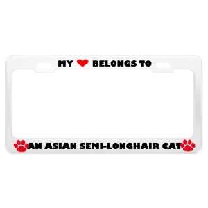  An Asian Semi Longhair Cat Pet White Metal License Plate 