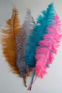 OSTRICH SPADS 18 25 Narrow Feathers MANY COLORS Hats  