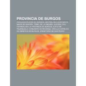 Provincia de Burgos: Parques eólicos de Burgos, Central nuclear Santa 