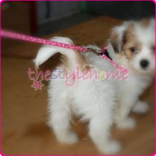 Pink small Dog Chihuahua Pet Leash & Harness Tool new  