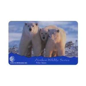   5m Alaskan Wildlife Series Three Polar Bears In Snow 