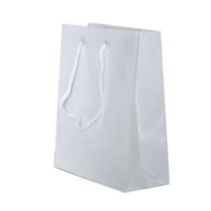  White Smallish (6 1/2 x 8 x 3) Glossy Gift Bag   Bags sold 