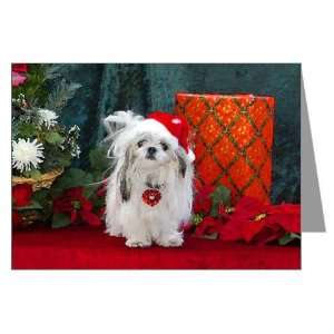 Shih Tzu Christmas Santa Peaches Greeting Cards P Pets Greeting Cards 
