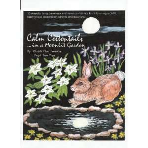  Angel Bear Calm Cottontails Lesson Book: Office Products