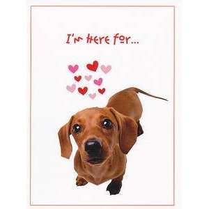   : Valentines Day Valentine Greeting Card Dog Kisses: Everything Else