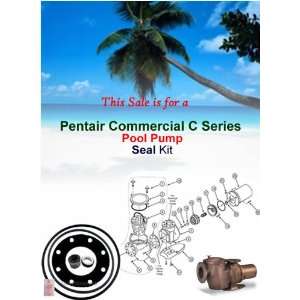   Pentair C SERIES Commercial POOL Pump Seal Oring Kit: Everything Else