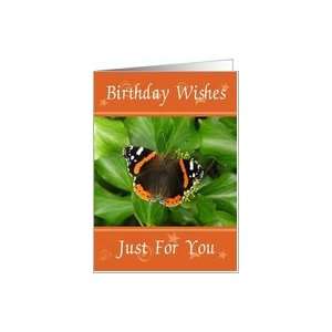  Birthday   Red Admiral Butterfly Card Health & Personal 
