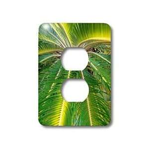  Florene Macro Plant   Frond Faceoff   Light Switch Covers   2 plug 