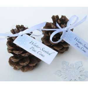  Winter Scented Pine Cones Toys & Games