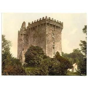  Blarney Castle. County Cork,Ireland