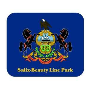  US State Flag   Salix Beauty Line Park, Pennsylvania (PA 