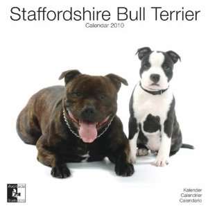    Staffordshire Bull Terrier 2010 Wall Calendar: Sports & Outdoors