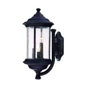   917 53 Walnut Grove Rustique Outdoor Wall Sconce