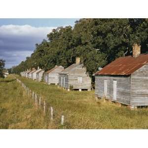  A Row of Primitive Cabins Used to House Field Hands 