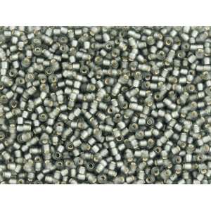  TOHO™ Bead Round 11/0 Frosted Silver Lined Gray Arts 